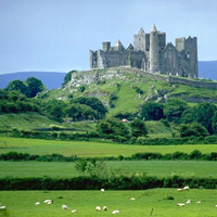 photo of castle and sheep